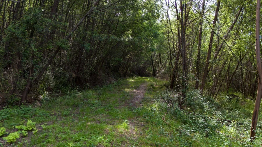 Terreno para Venda em Verim, Friande e Ajude Foto 22