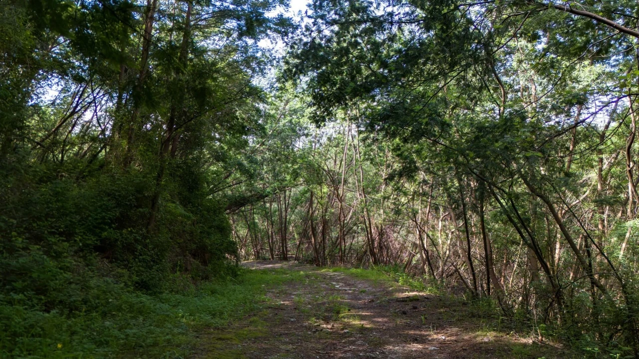 Terreno para Venda em Verim, Friande e Ajude Foto 37