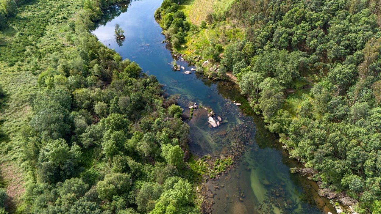 Terreno para Venda em Verim, Friande e Ajude Foto 15