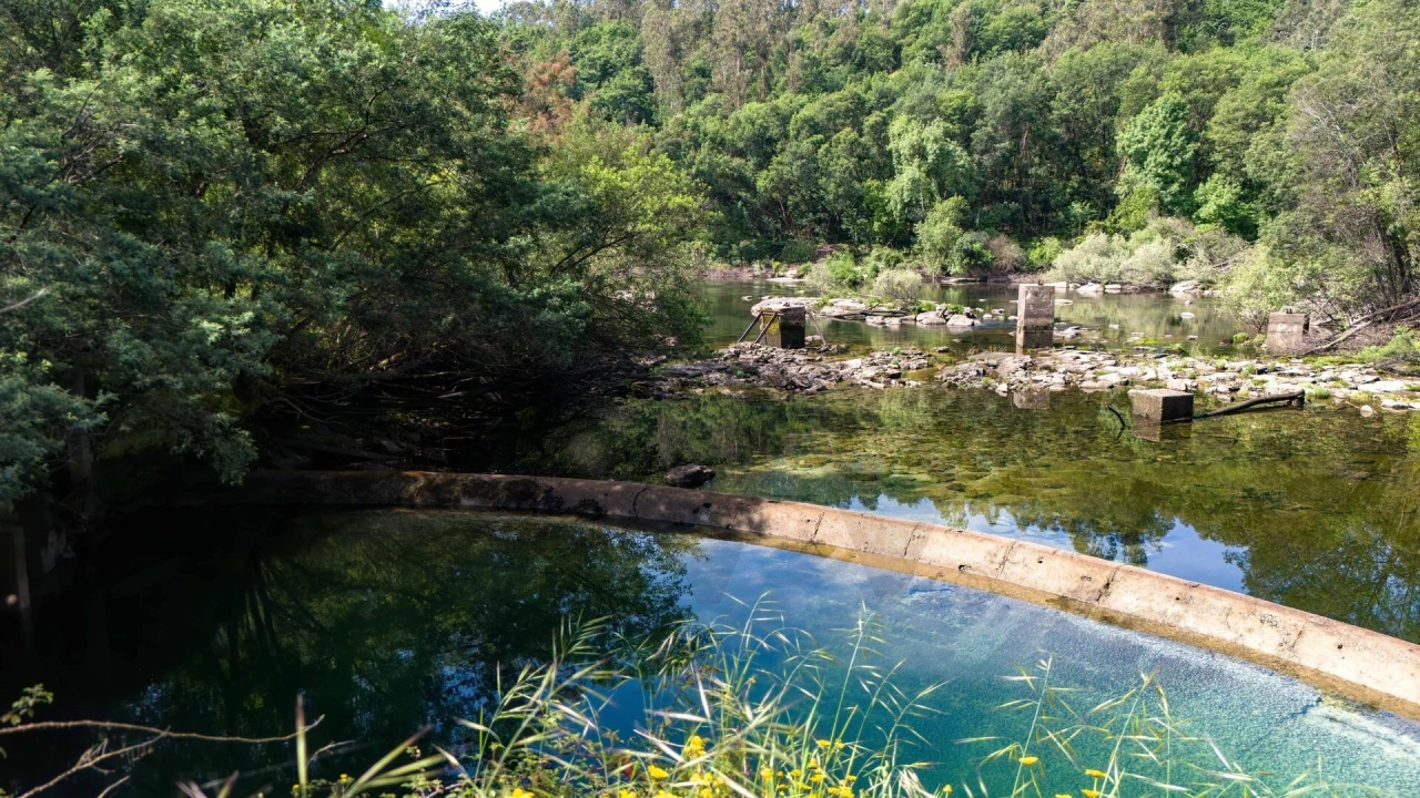 Terreno para Venda em Verim, Friande e Ajude Foto 30