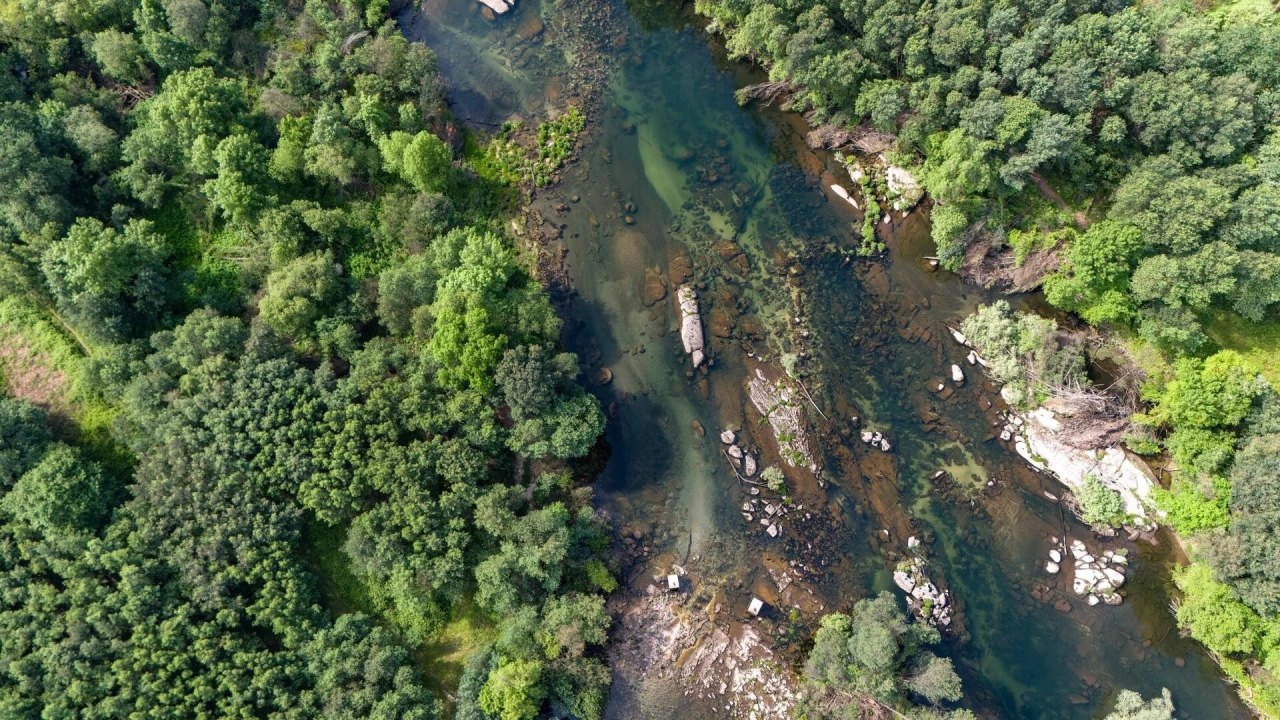 Terreno para Venda em Verim, Friande e Ajude Foto 17
