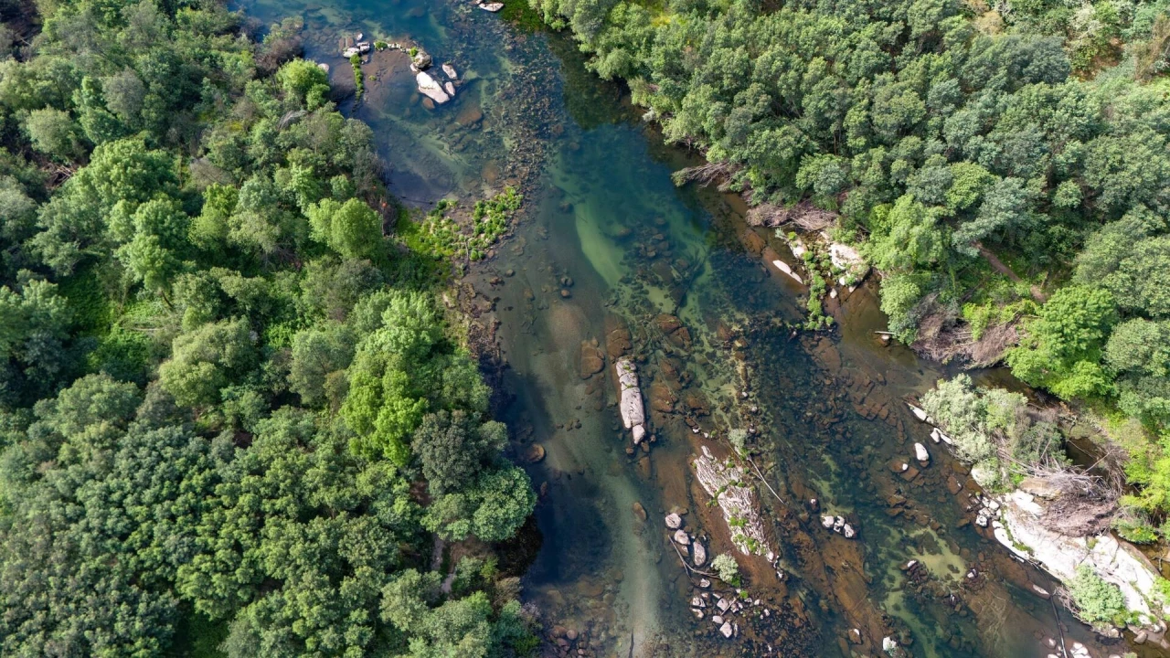 Terreno para Venda em Verim, Friande e Ajude Foto 16