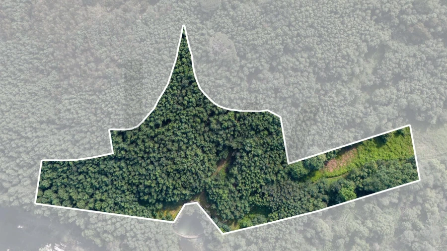 Terreno para Venda em Verim, Friande e Ajude