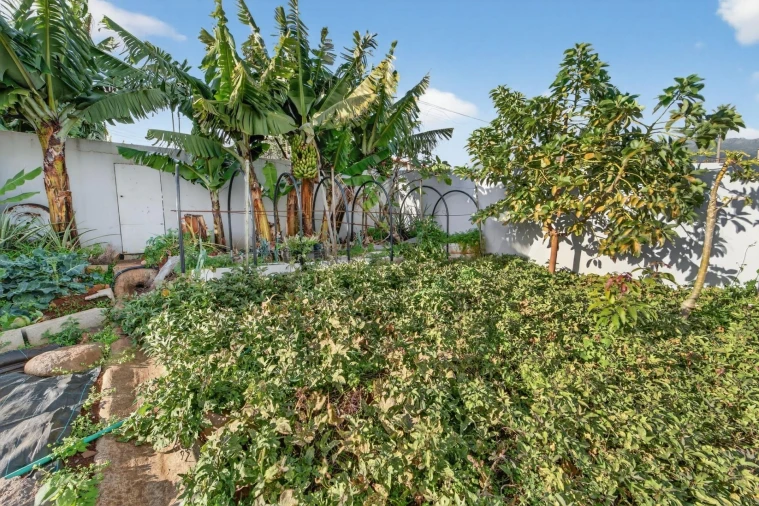 Moradia T3 para Venda em São Martinho Foto 22