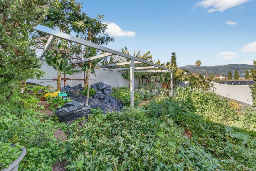 Moradia T3 para Venda em São Martinho Foto 20