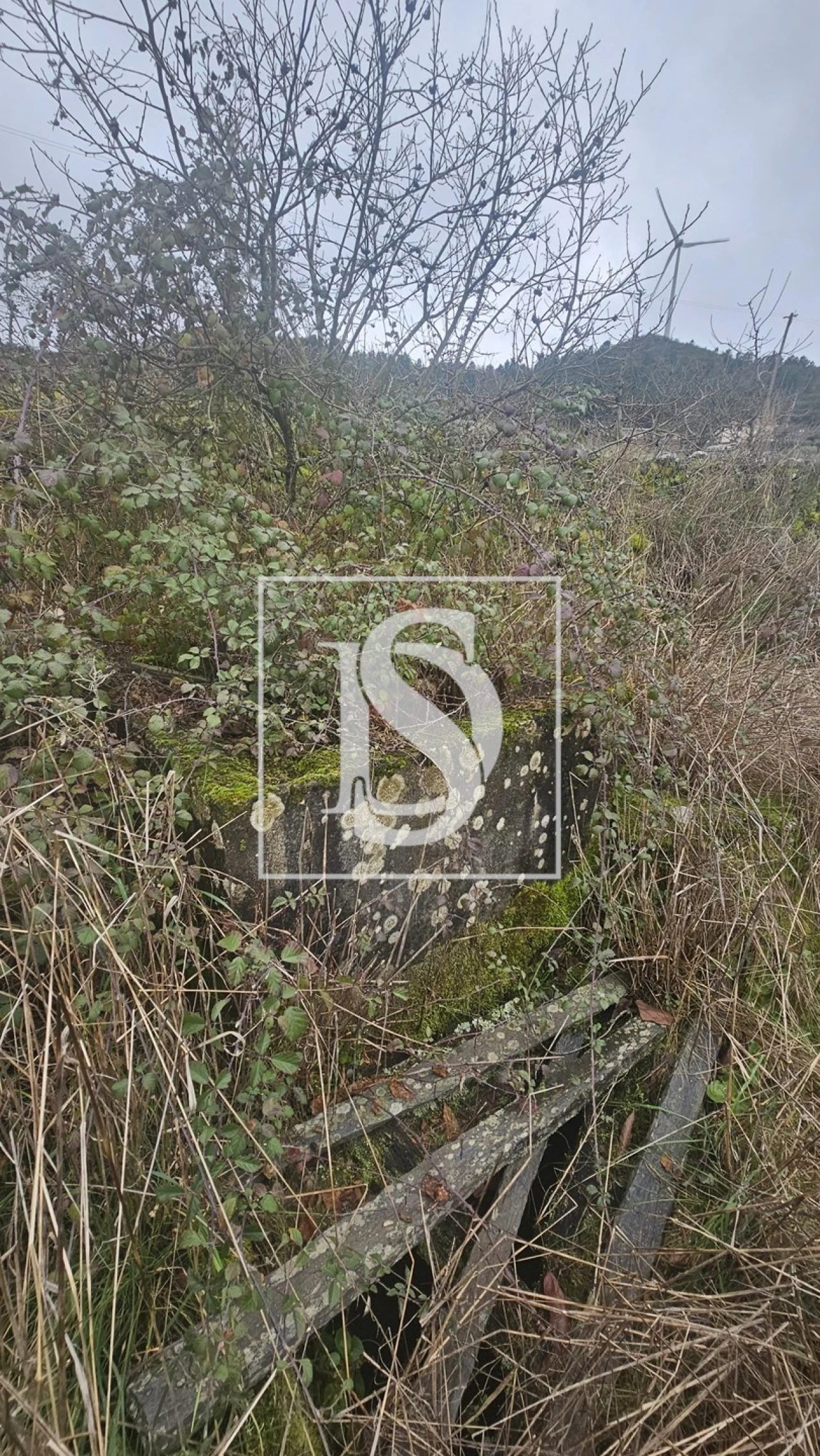 Terreno para Venda em Aricera e Goujoim Foto 11