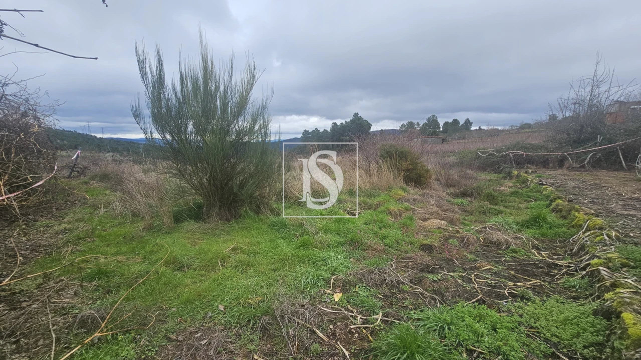 Terreno para Venda em Aricera e Goujoim Foto 10