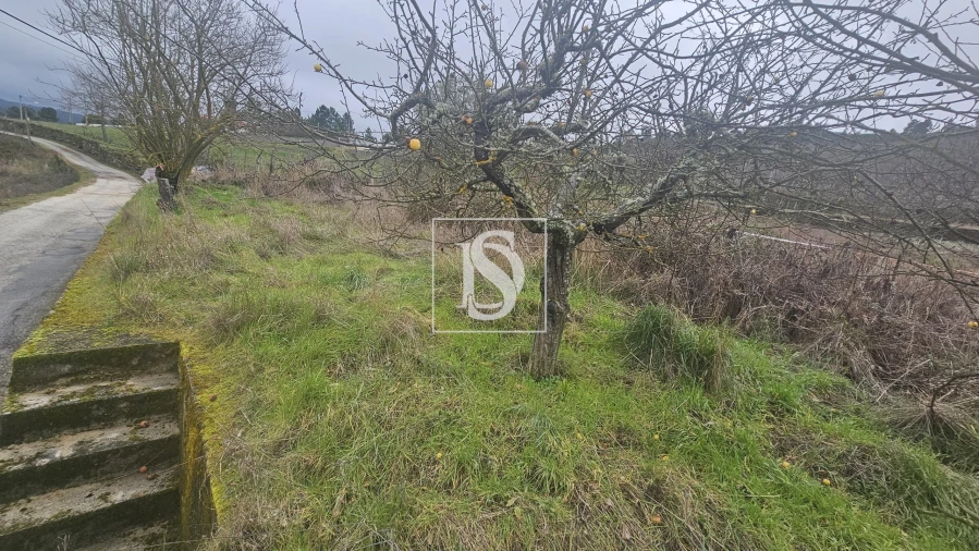 Terreno para Venda em Aricera e Goujoim Foto 3