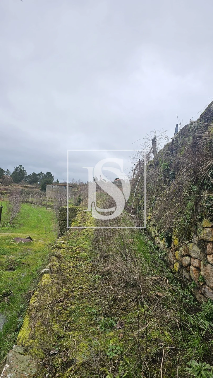 Terreno para Venda em Aricera e Goujoim Foto 7