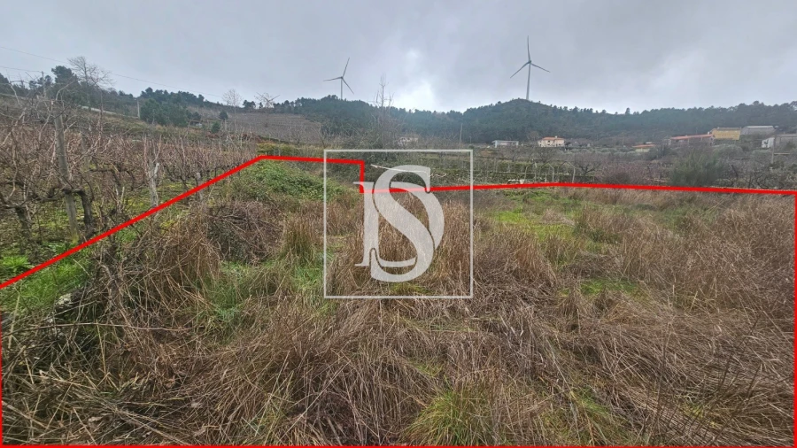 Terreno para Venda em Aricera e Goujoim Foto 8