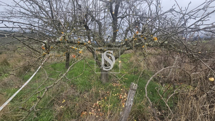 Terreno para Venda em Aricera e Goujoim Foto 5