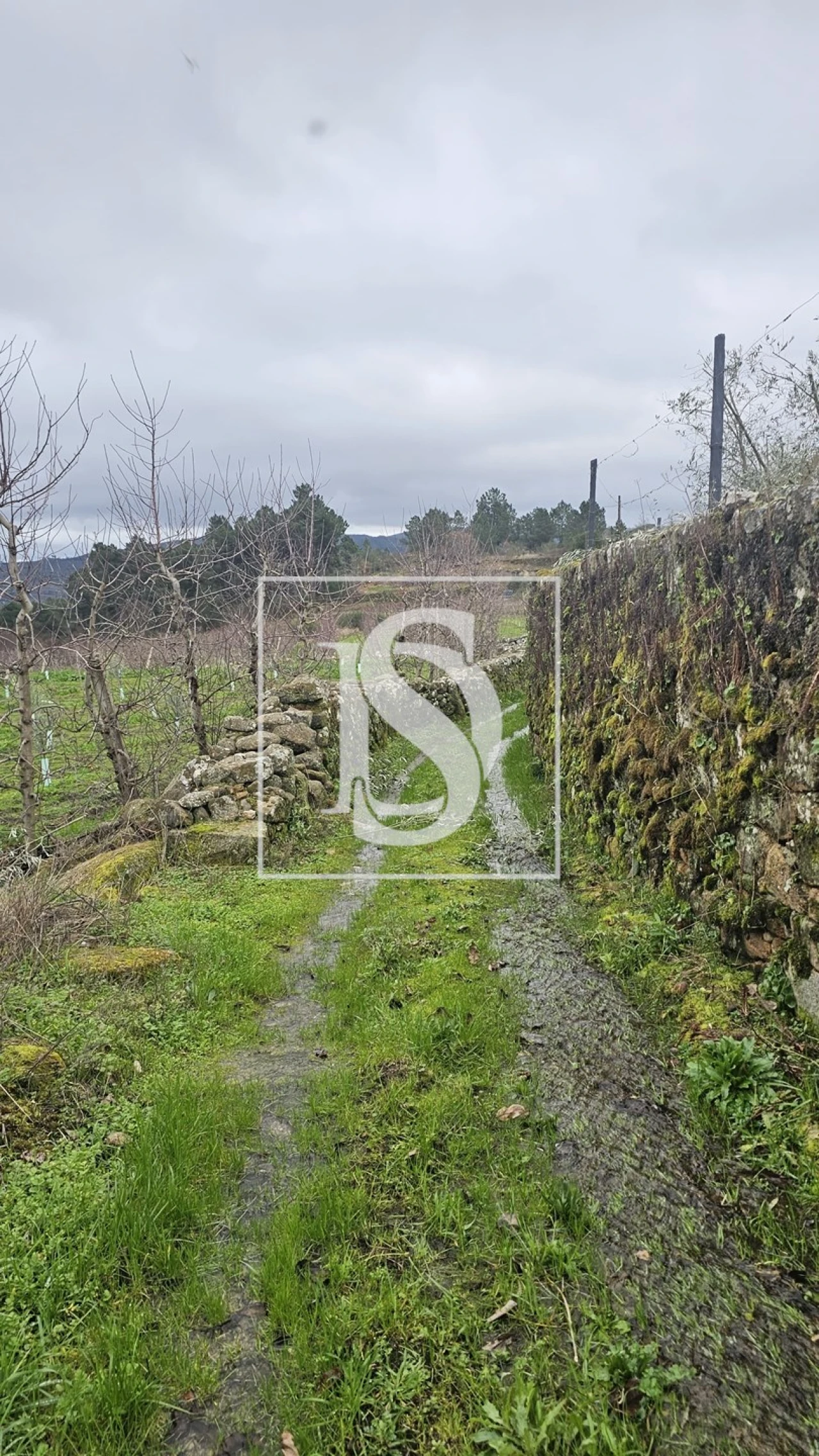 Terreno para Venda em Aricera e Goujoim Foto 6