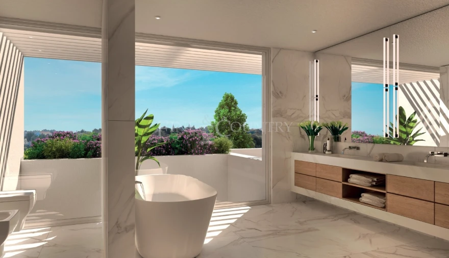 Terreno para Venda em Loule (São Clemente) Foto 8