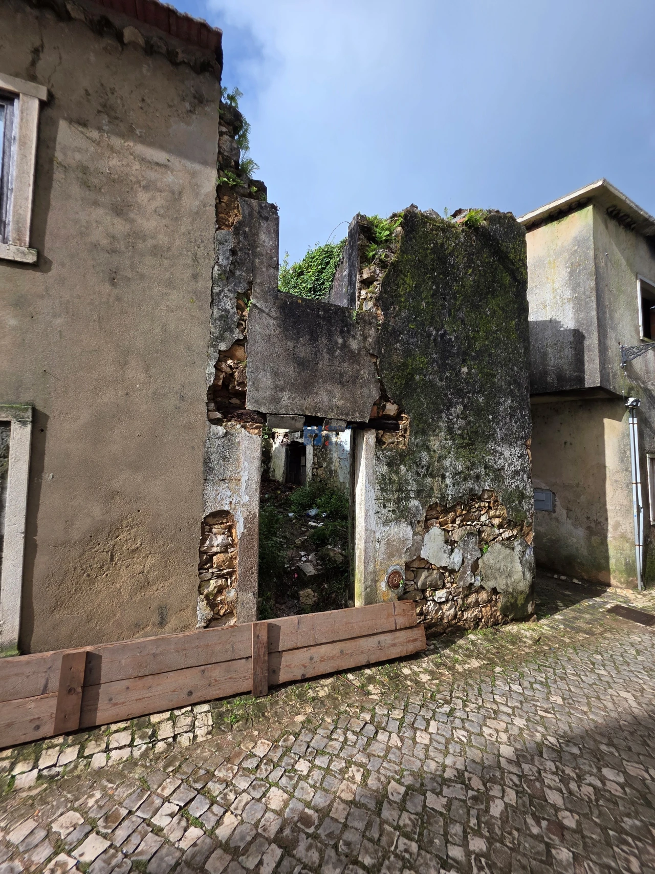 Moradia T3 para Venda em Minde Foto 2