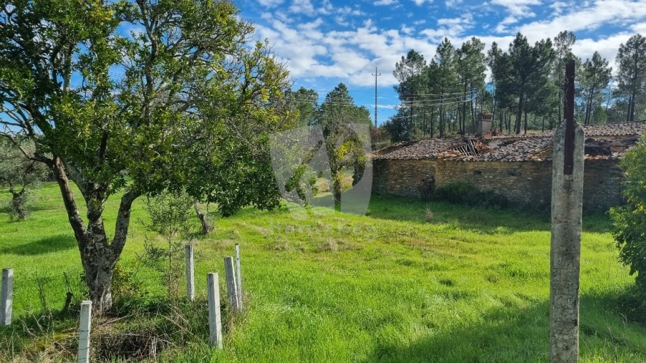 Terreno para Venda em Sarzedas Foto 20