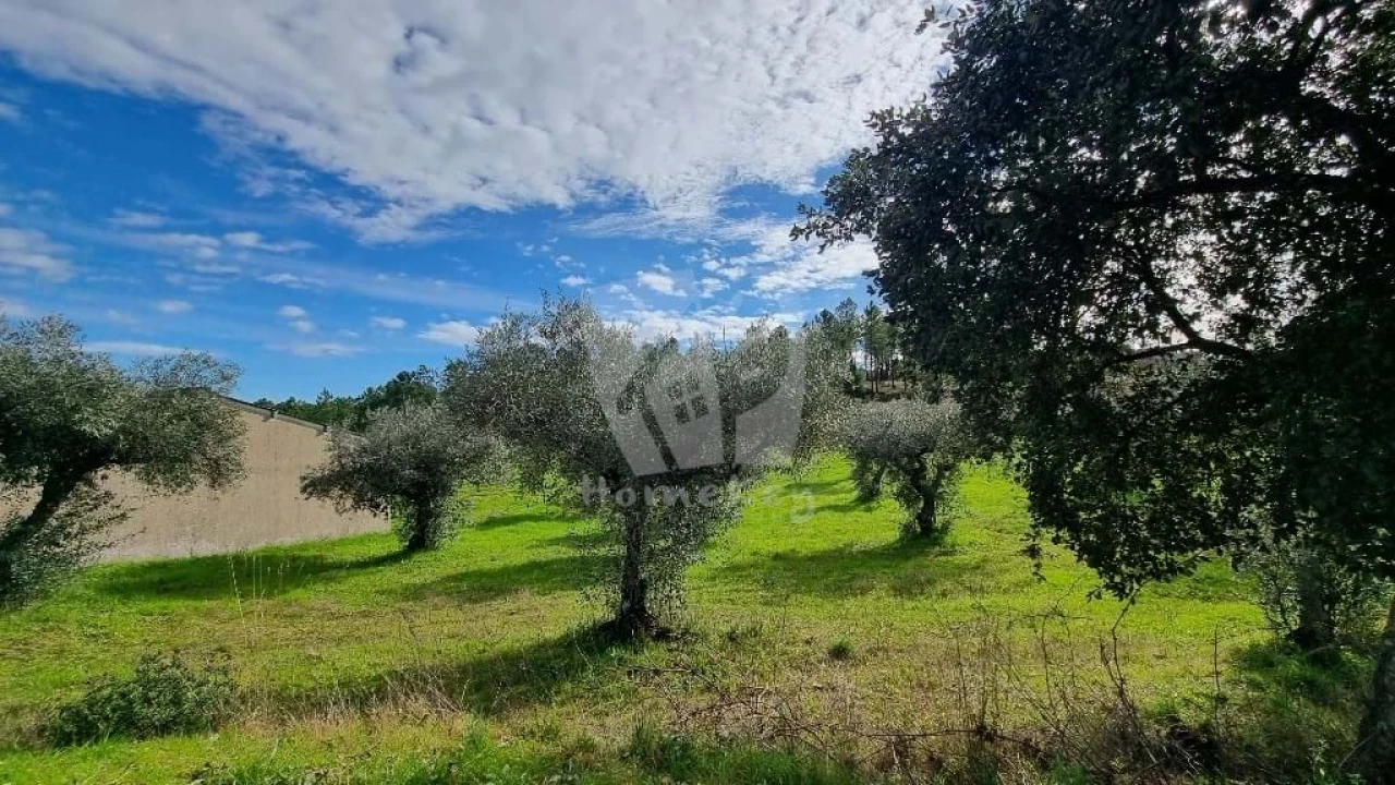 Terreno para Venda em Sarzedas Foto 12