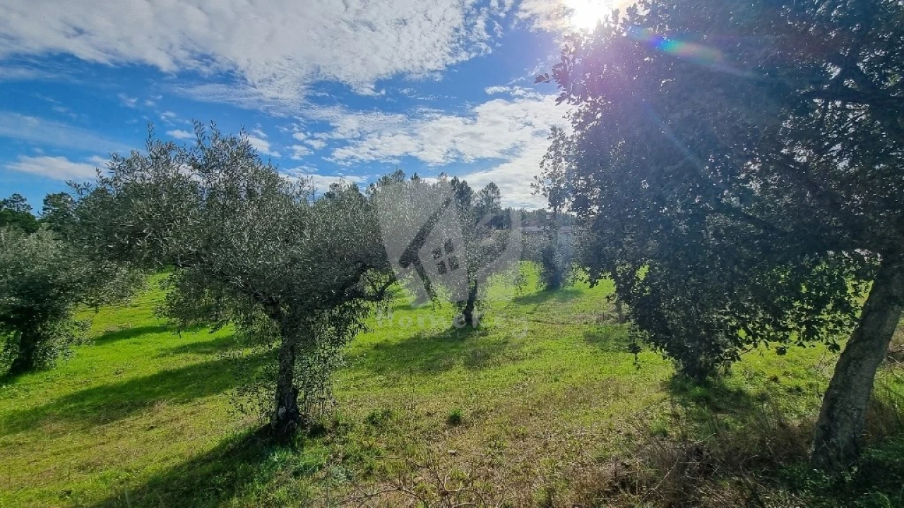Terreno para Venda em Sarzedas Foto 8