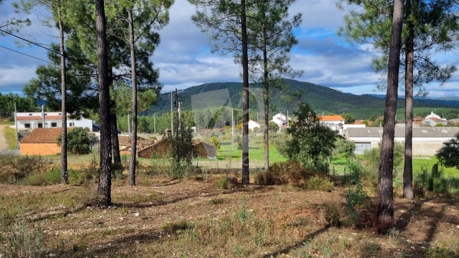 Terreno para Venda em Sarzedas Foto 23