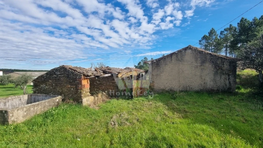 Terreno para Venda em Sarzedas Foto 9