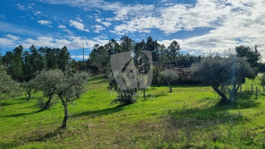 Terreno para Venda em Sarzedas Foto 14