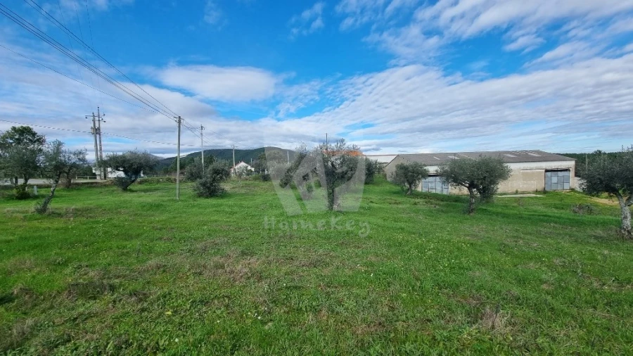 Terreno para Venda em Sarzedas Foto 25