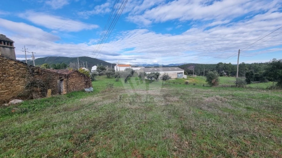 Terreno para Venda em Sarzedas Foto 18