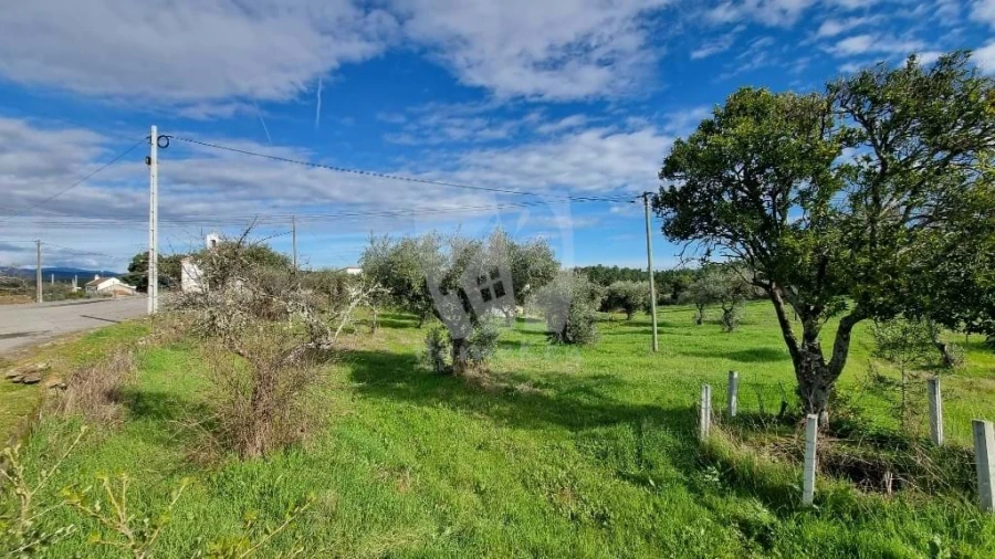 Terreno para Venda em Sarzedas Foto 13