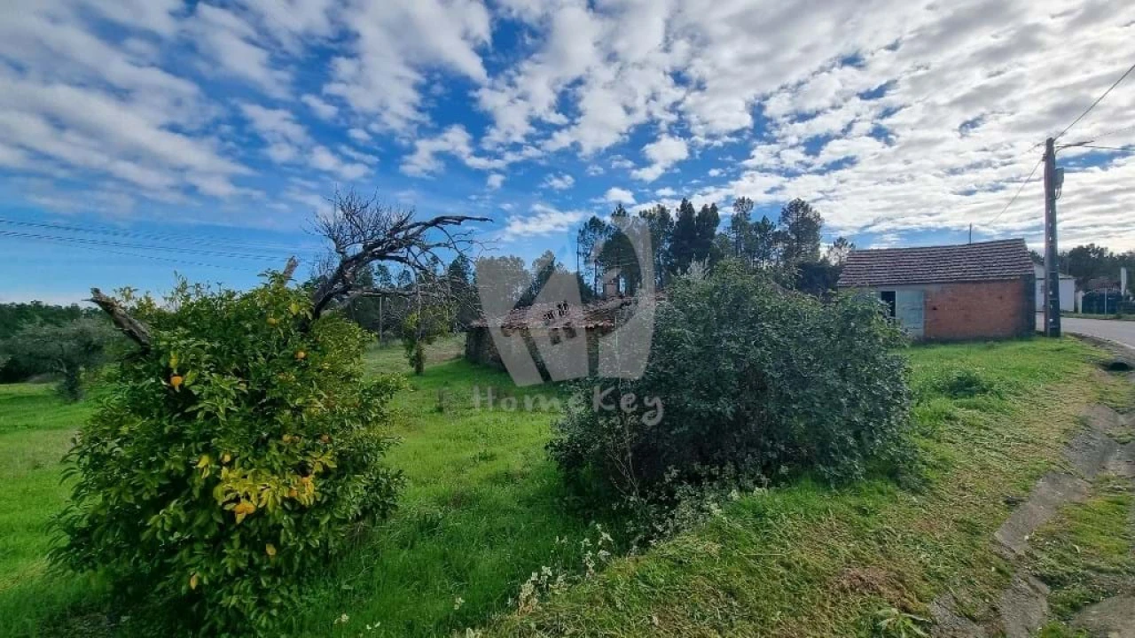 Terreno para Venda em Sarzedas Foto 15