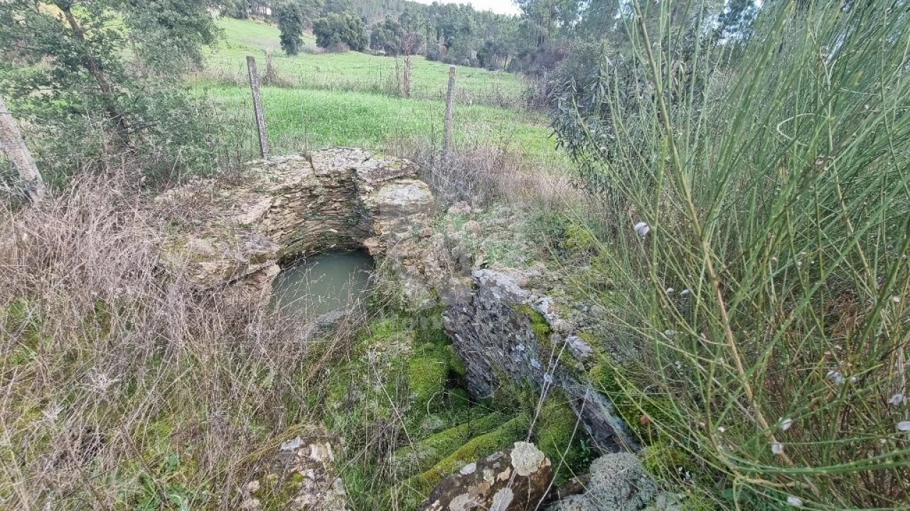Terreno para Venda em Sarzedas Foto 11