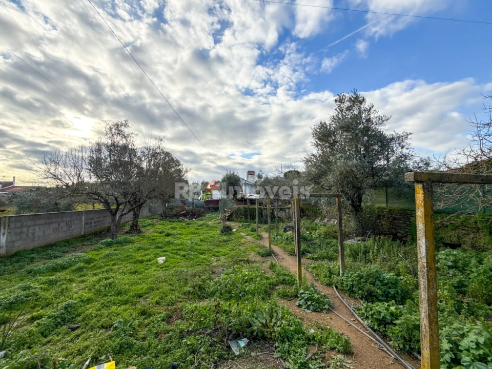 Moradia T6 para Venda em Mouriscas Foto 51