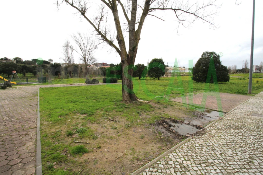 Terreno para Venda em Cartaxo e Vale da Pinta Foto 8