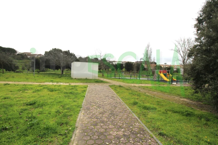 Terreno para Venda em Cartaxo e Vale da Pinta Foto 11