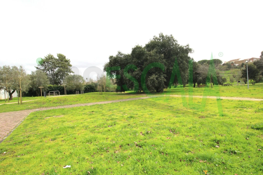 Terreno para Venda em Cartaxo e Vale da Pinta Foto 9