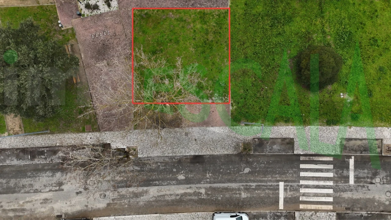 Terreno para Venda em Cartaxo e Vale da Pinta Foto 1