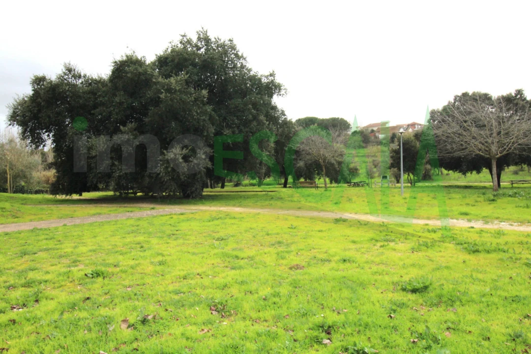 Terreno para Venda em Cartaxo e Vale da Pinta Foto 10