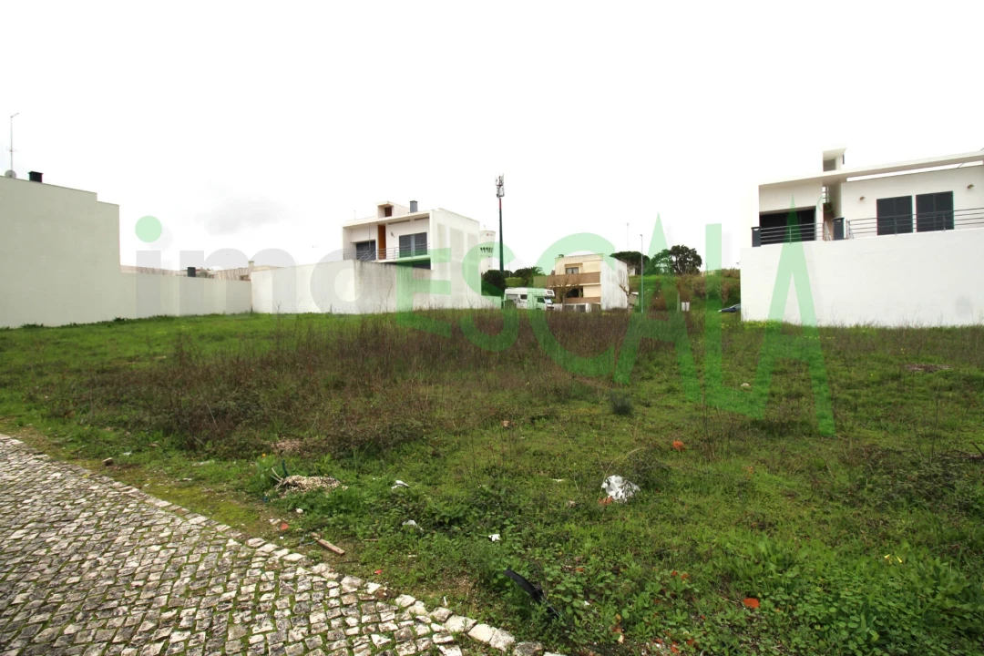 Terreno para Venda em Cartaxo e Vale da Pinta Foto 3