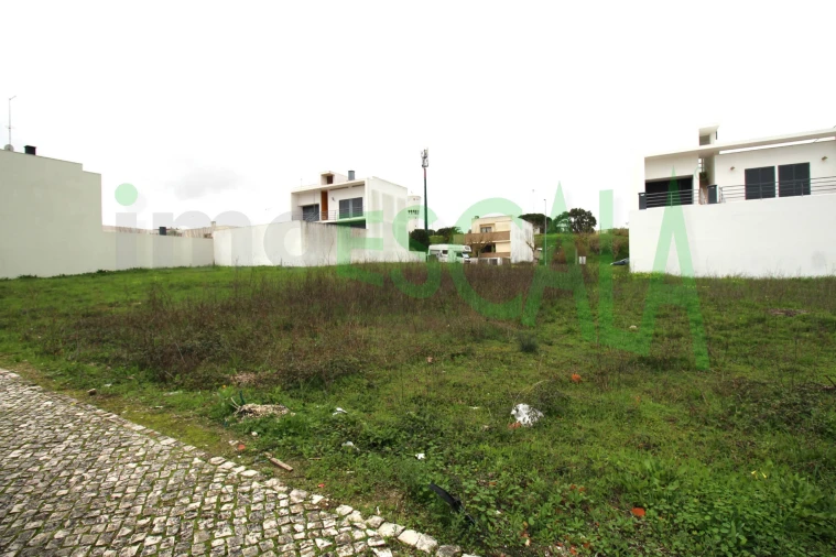 Terreno para Venda em Cartaxo e Vale da Pinta Foto 3