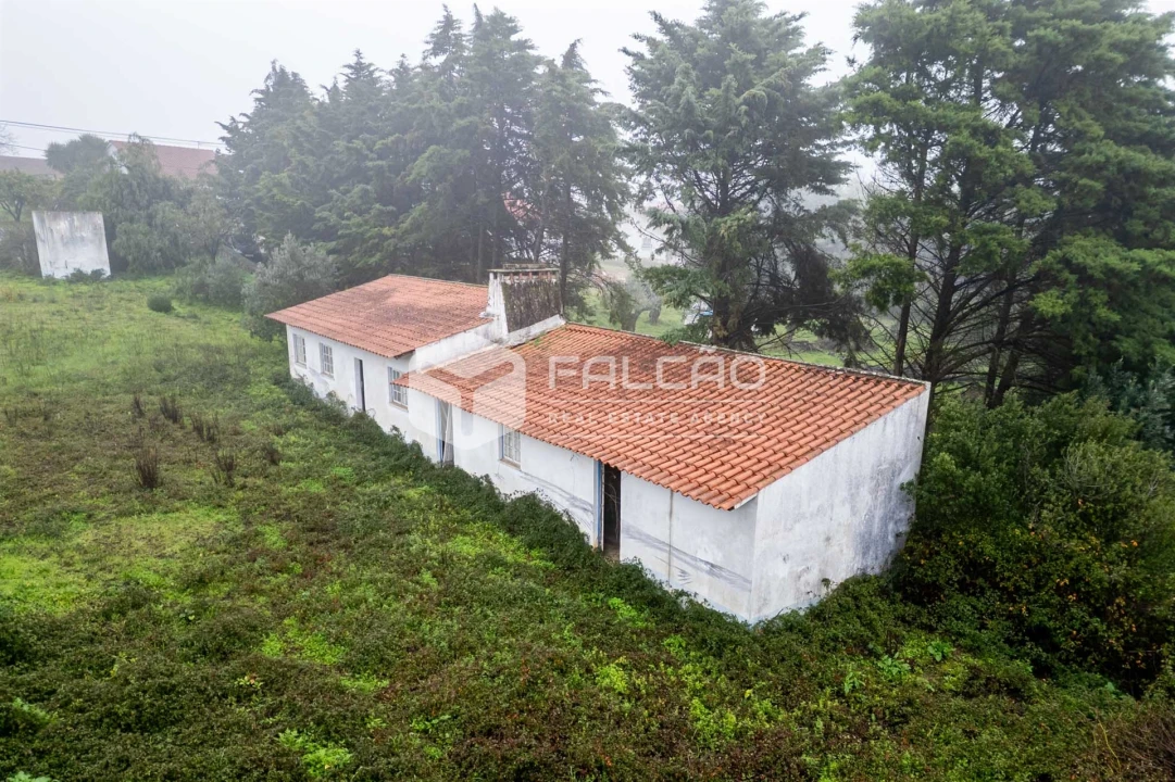Negócio para Venda em Olaia e Paço Foto 6