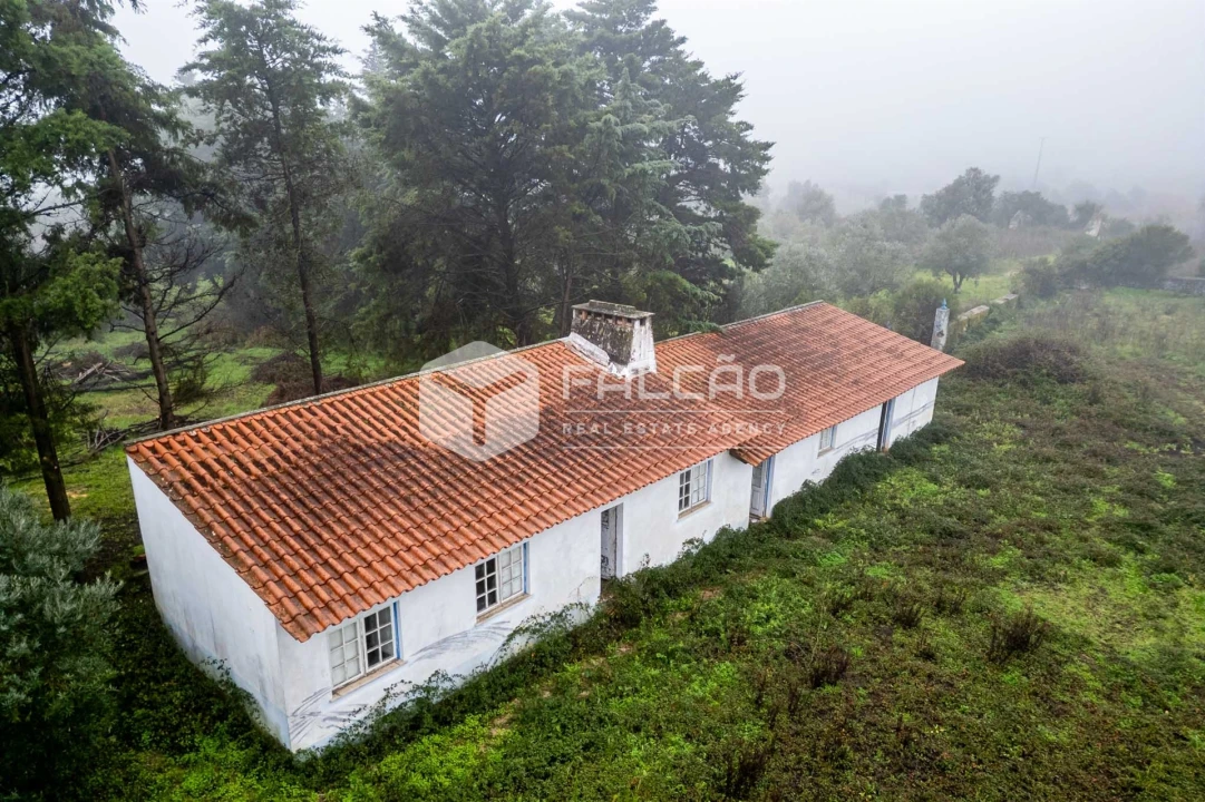 Negócio para Venda em Olaia e Paço Foto 2