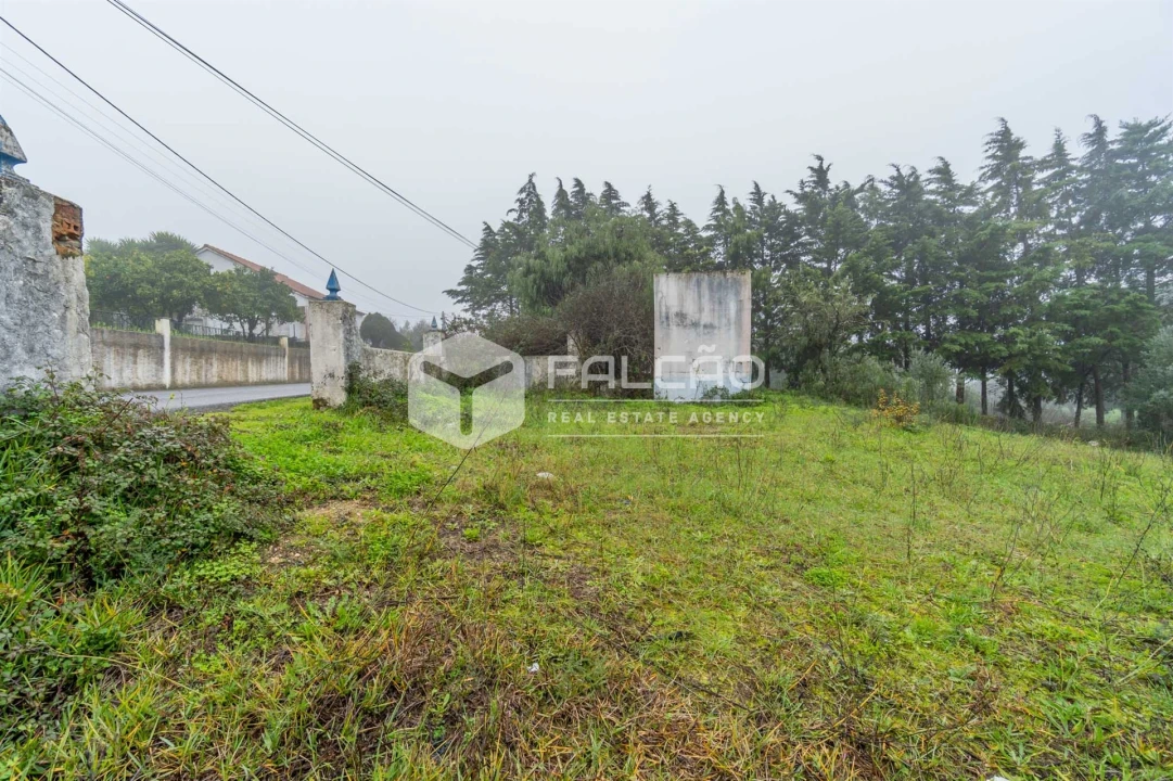 Negócio para Venda em Olaia e Paço Foto 31