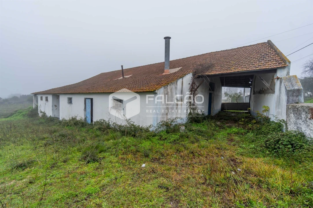 Negócio para Venda em Olaia e Paço Foto 1