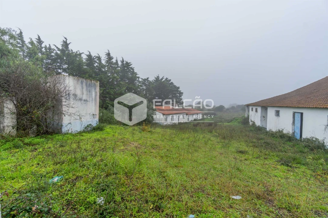 Negócio para Venda em Olaia e Paço Foto 16