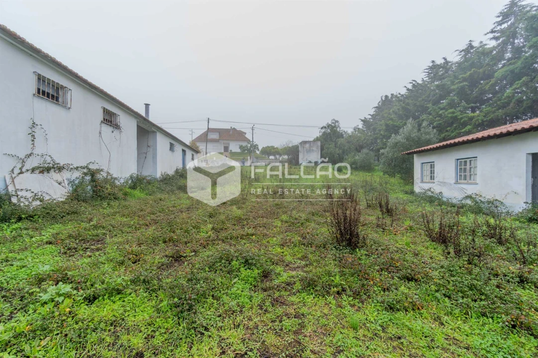 Negócio para Venda em Olaia e Paço Foto 26