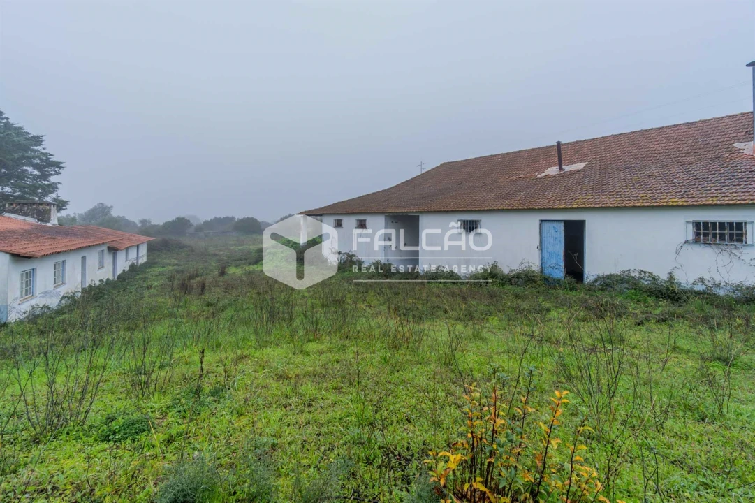 Negócio para Venda em Olaia e Paço Foto 27