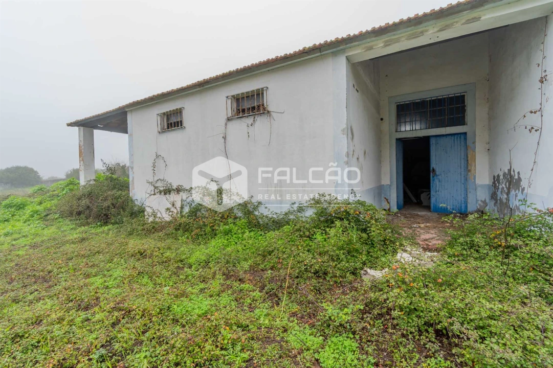 Negócio para Venda em Olaia e Paço Foto 20