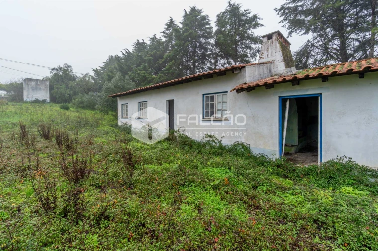 Negócio para Venda em Olaia e Paço Foto 25
