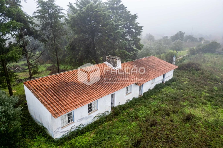 Negócio para Venda em Olaia e Paço Foto 2