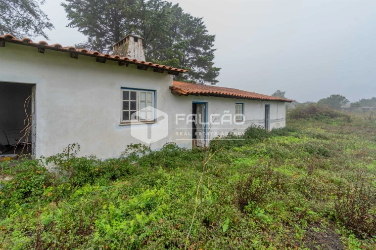 Negócio para Venda em Olaia e Paço Foto 22