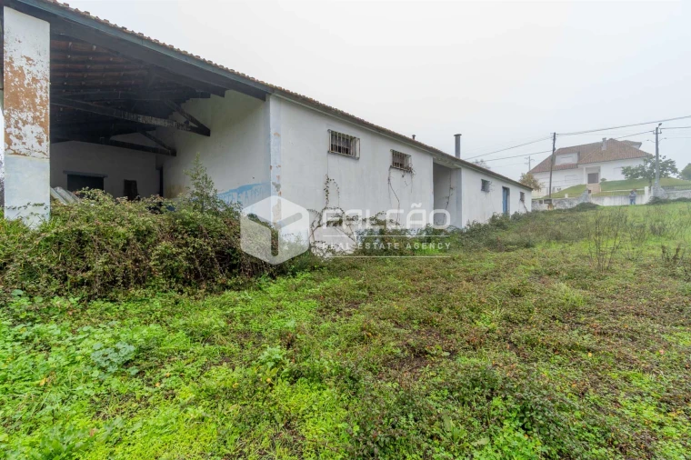 Negócio para Venda em Olaia e Paço Foto 23