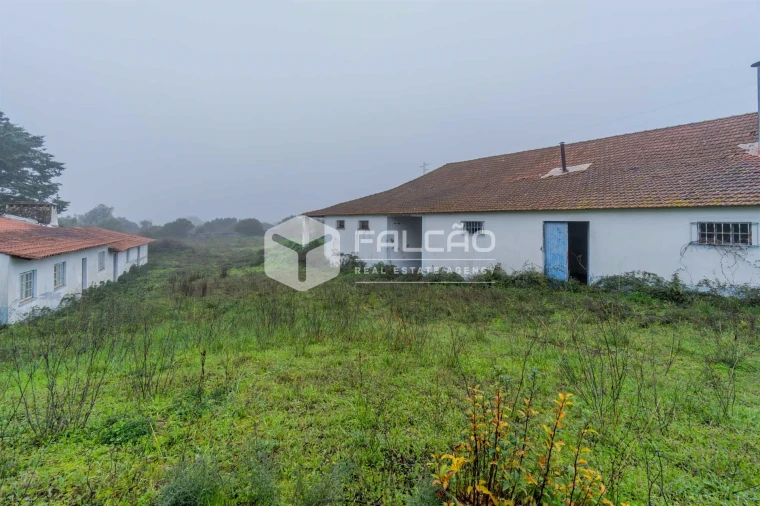 Negócio para Venda em Olaia e Paço Foto 27